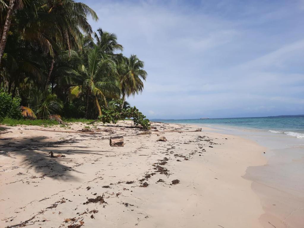 Casa Acuario Boutique Hotel Bocas del Toro Eksteriør bilde