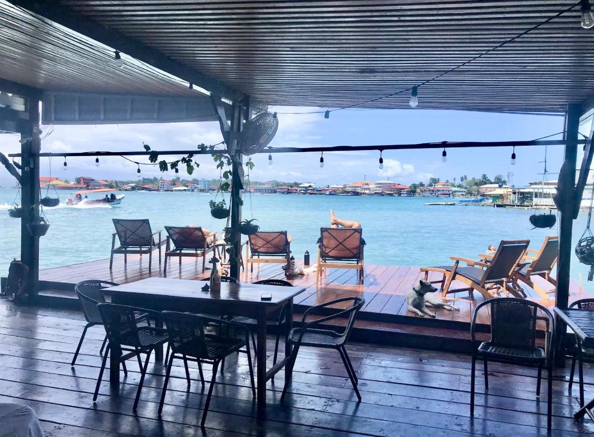 Casa Acuario Boutique Hotel Bocas del Toro Eksteriør bilde
