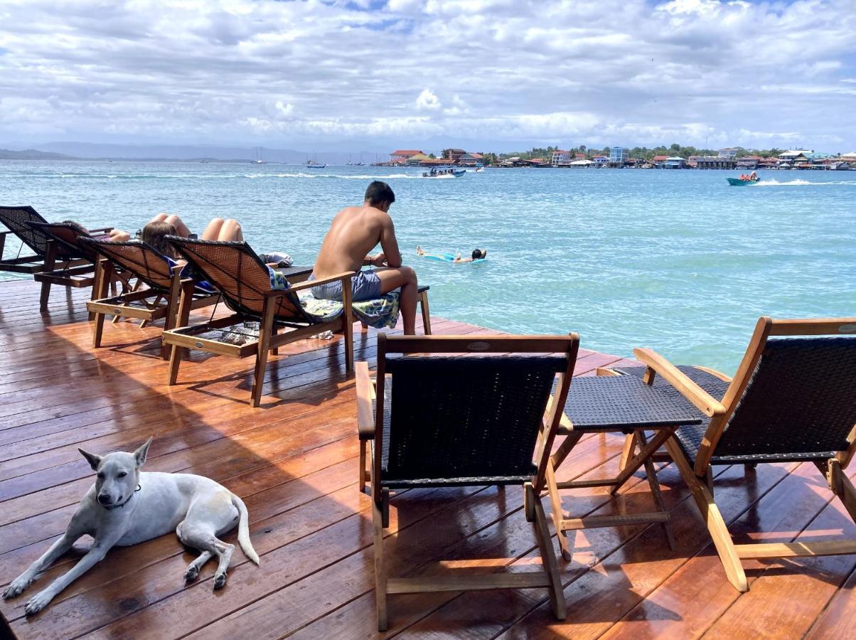 Casa Acuario Boutique Hotel Bocas del Toro Eksteriør bilde