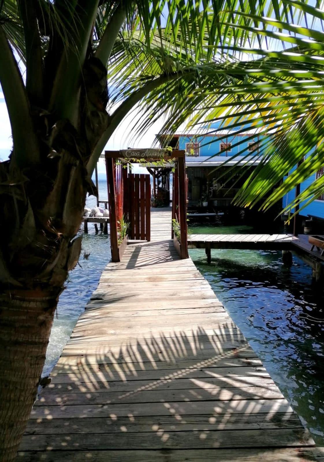 Casa Acuario Boutique Hotel Bocas del Toro Eksteriør bilde
